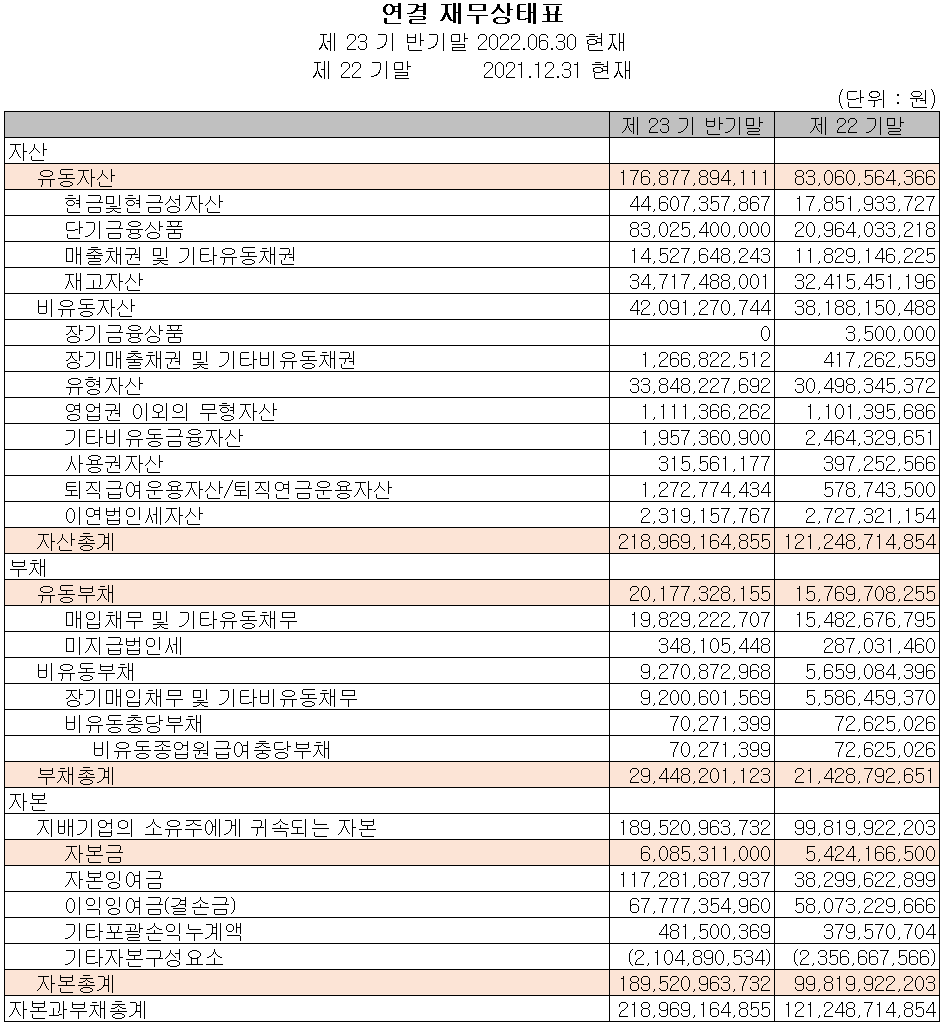 나노신소재 - 재무상태표