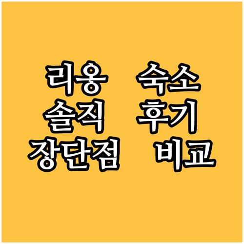 리옹 여행객 추천 숙소 Pilo Ho