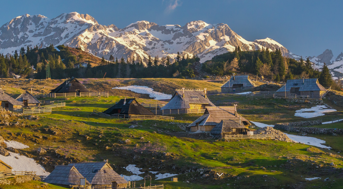 벨리카 플라니아