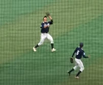 gold-lion-baseball