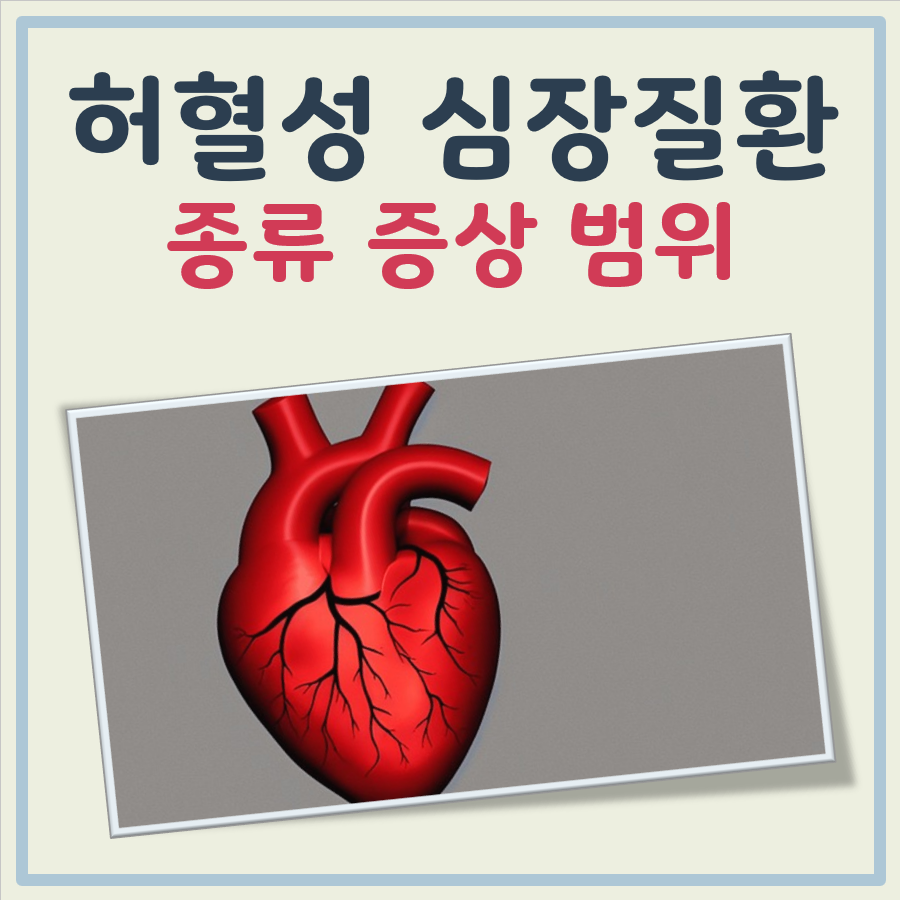 허혈성 심장질환 종류 증상 범위
