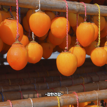 대봉감 곶감 만드는법