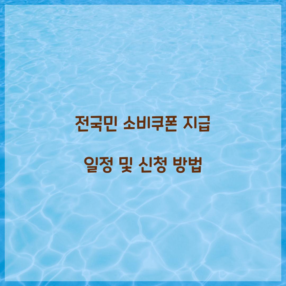 전국민 소비쿠폰