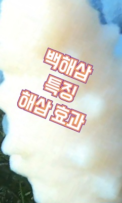 백해삼-효능-가격