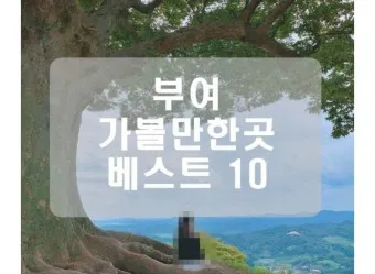 평창 가볼만한곳 베스트10 현지인 추천 필수코스_16