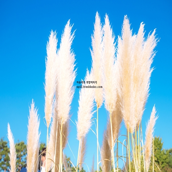 전주 가볼만한곳 베스트10