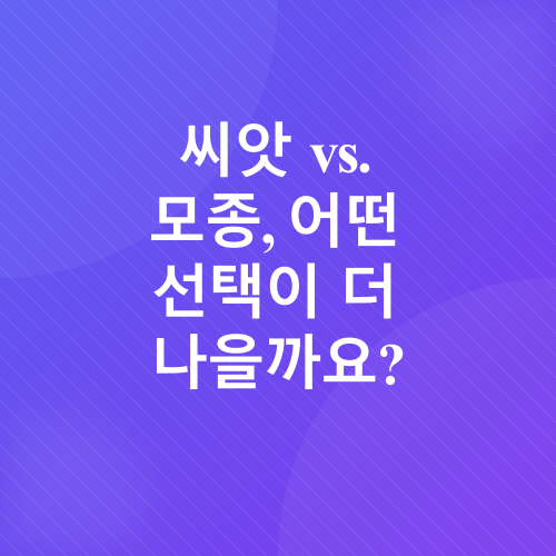 방울토마토 키우기_1