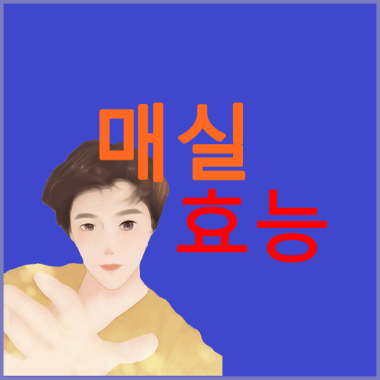 매실-효능