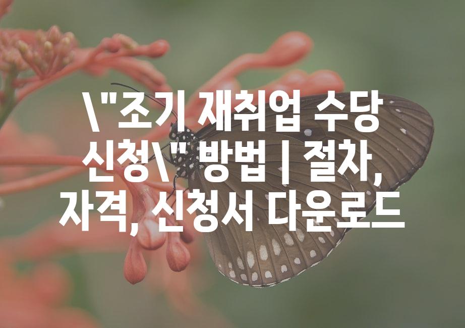 샘플 (51)