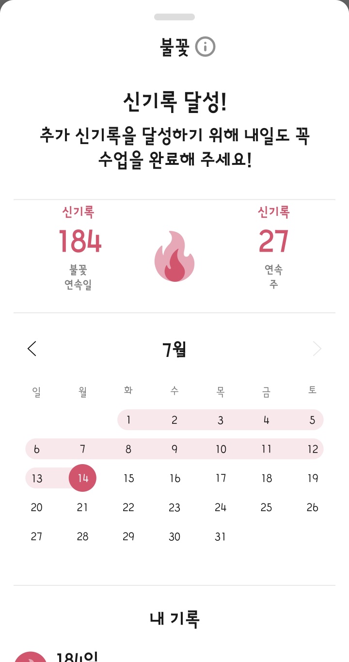 스픽 사용 기록