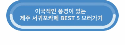 서귀포카페