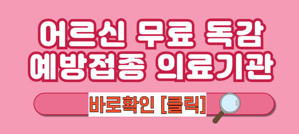 [2024-2025 어르신 독감 예방접종] 독감 예방접종 시기(기간) / 독감 예방접종 65세이상 무료 / 독감 주사 접종 병원 확인