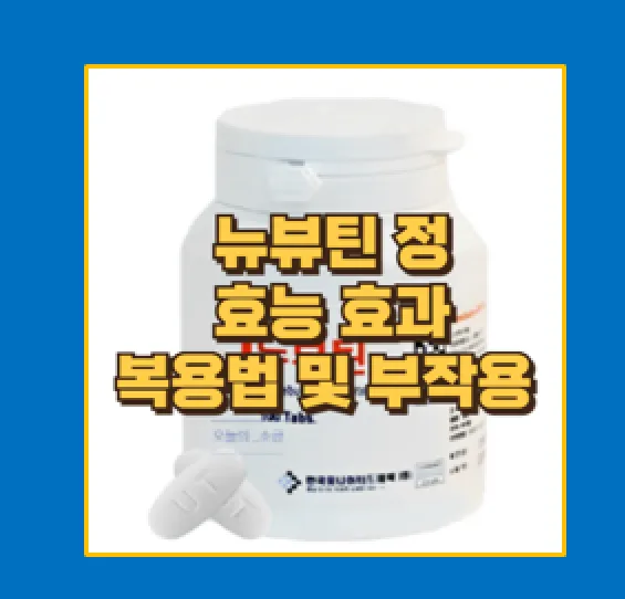 뉴부틴서방정