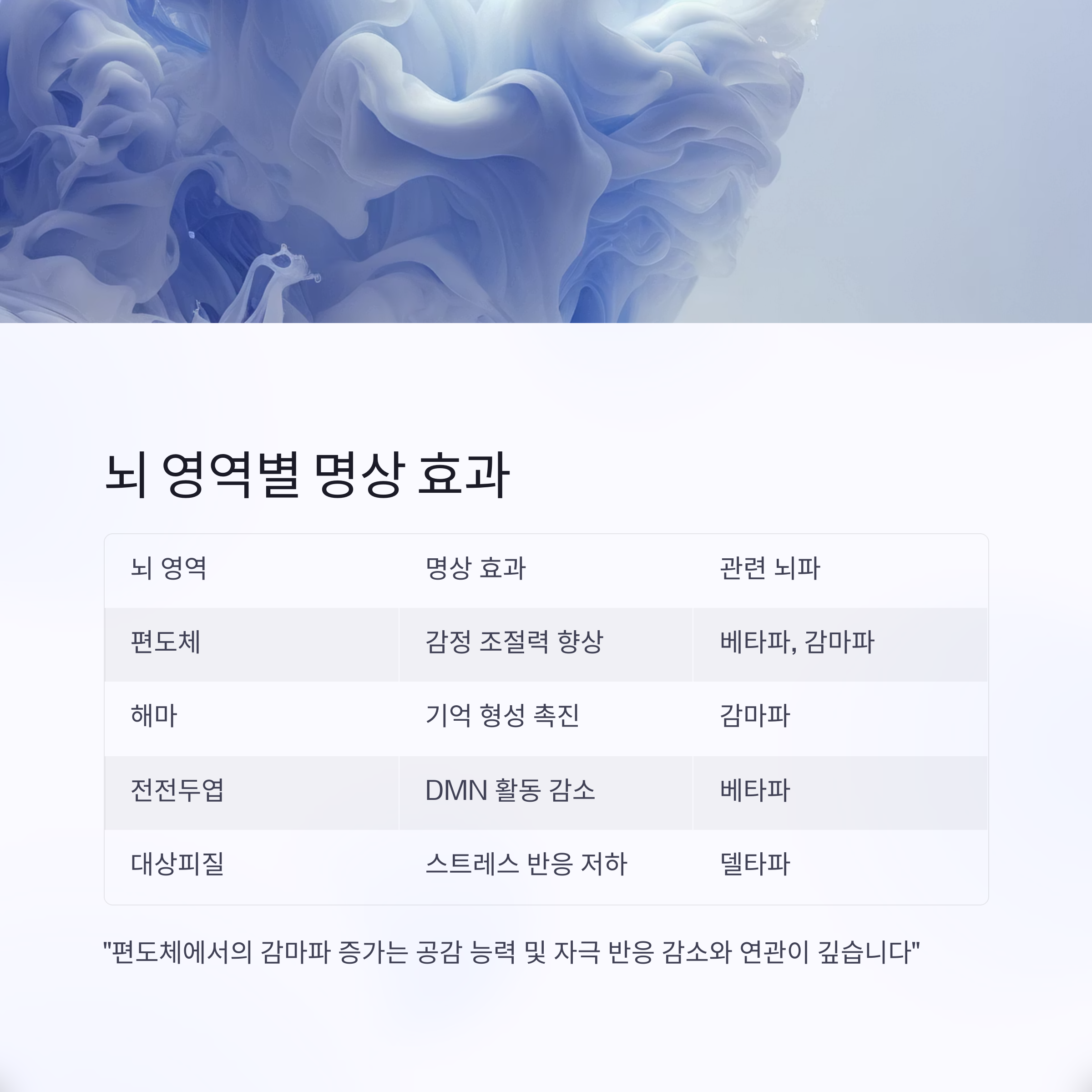 뇌 영역별 명상 효과