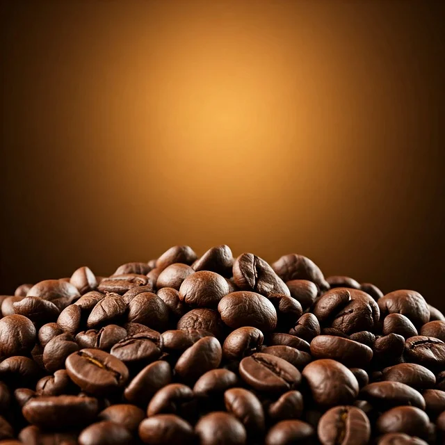 태양빛받는 원두