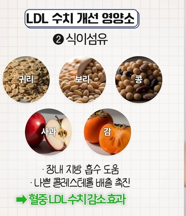고지혈증약-꼭-먹어야하나