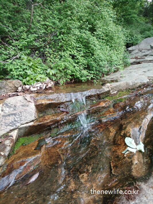 Small cascading stream flowing over rocks in Achasan-작은 폭포처럼 흐르는 아차산의 계곡물