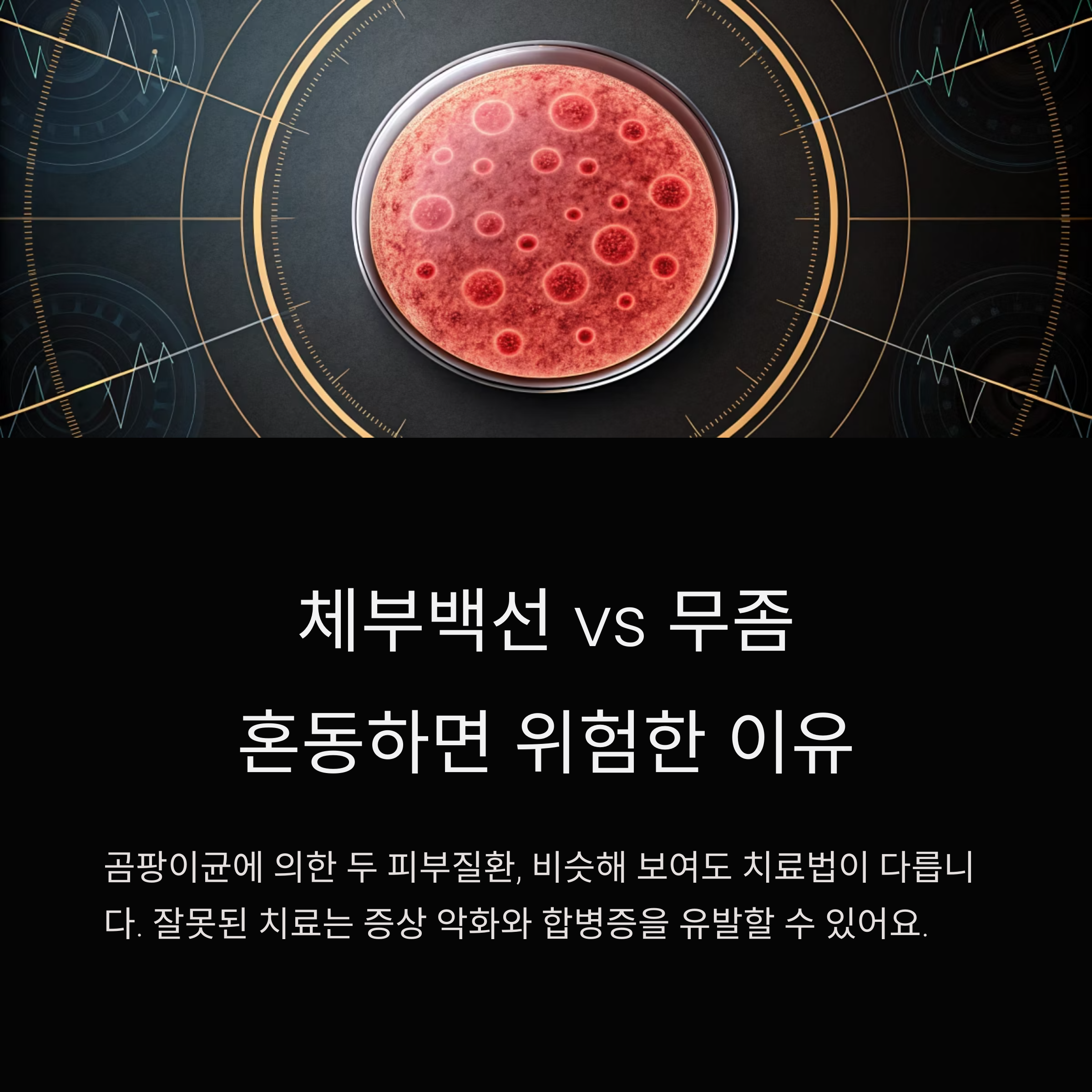 체부백선