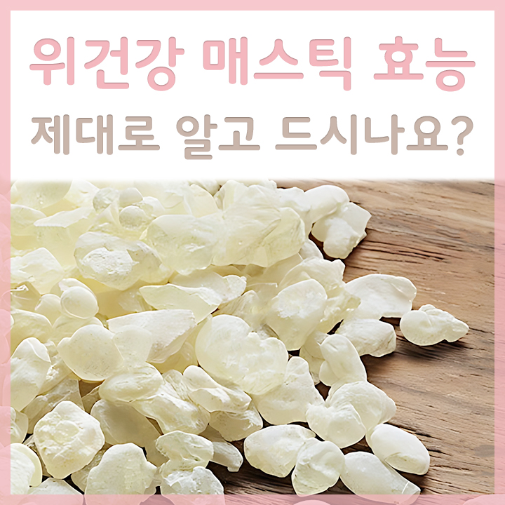 매스틱-외관