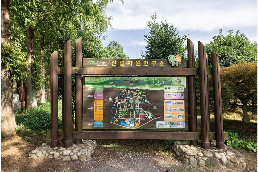 고창-청보리밭-사진