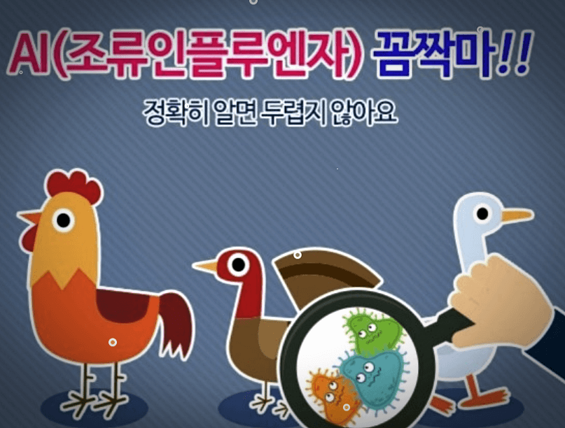 조류인플루엔자