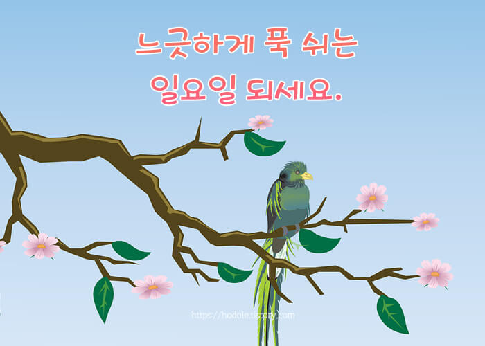 느긋-일욜