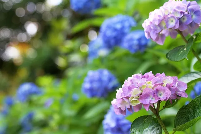 제주도 가볼만한곳 10곳