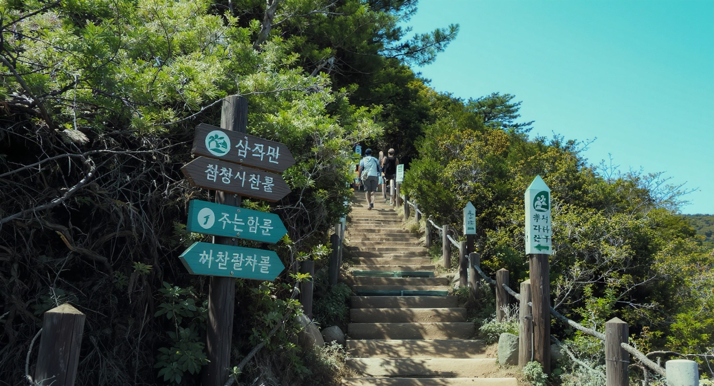 친환경여행
