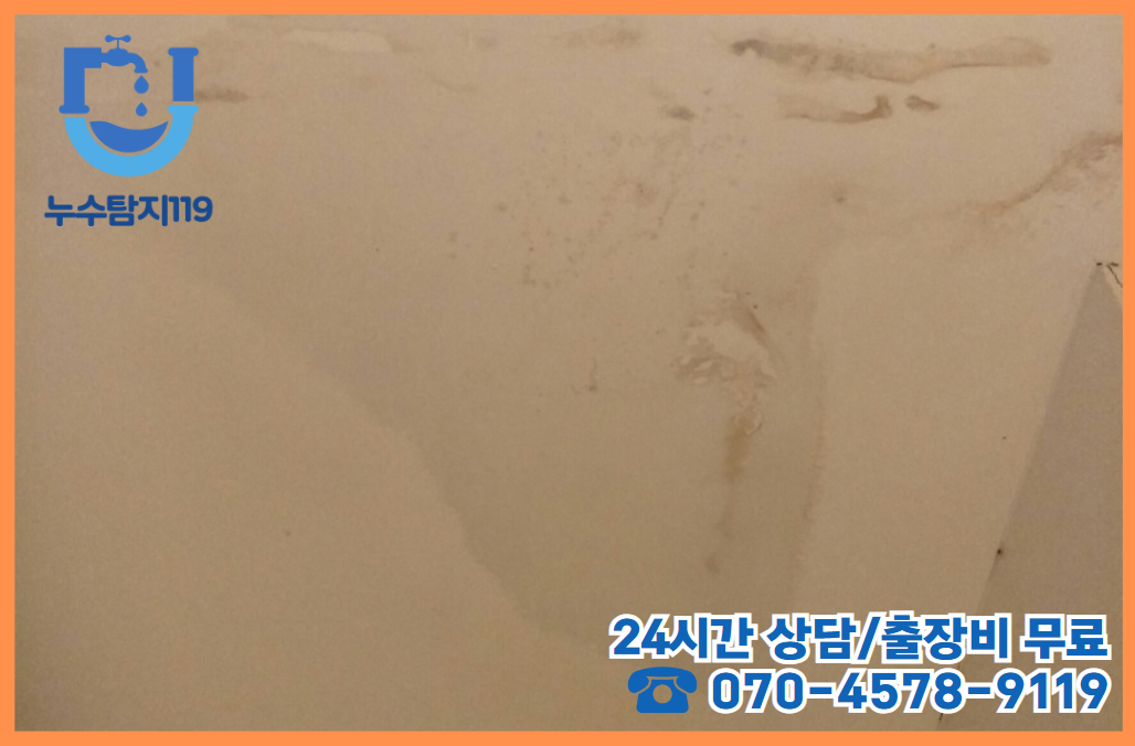 덕명동 아파트/빌라/상가2