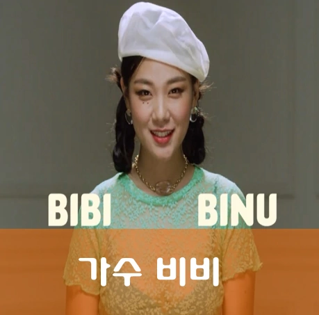 가수 비비
