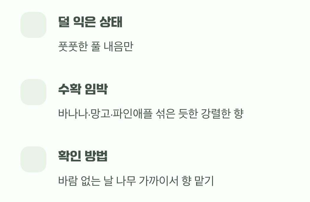 코끝으로 전해지는 달콤한 향기