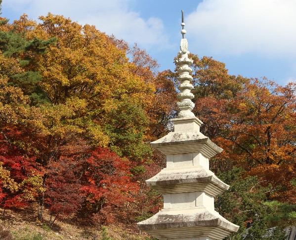 용문사의 단풍