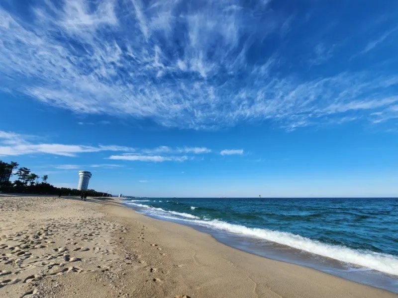 강릉 가볼만한곳 베스트10 여행 가이드북_3