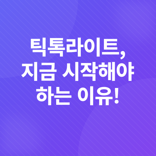 틱톡라이트 앱테크_4