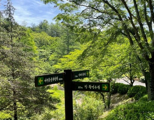 경남 여행지 추천 ❘ 진주 가볼만한 곳 베스트 10. 경상남도수목원