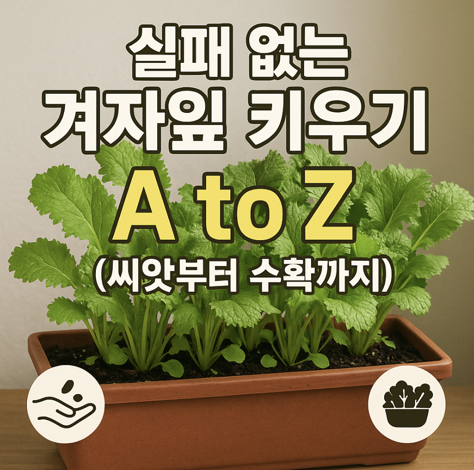 실패 없는 겨자잎 키우기 A to Z (씨앗부터 수확까지)