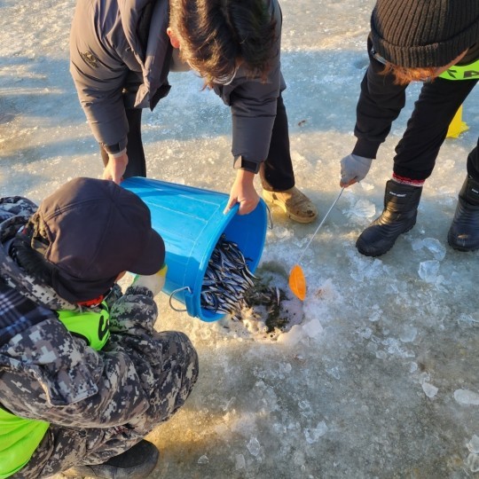 &amp;#39;양평 산수유 마을 빙어축제 2023&amp;#39; 행사소개&amp;#44; 축제안내