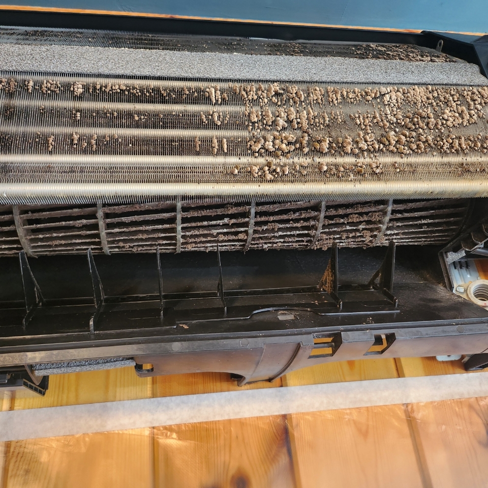 2025 에어컨 내부 청소 알레르기 피부트러블 방지를 위한 필수 작업