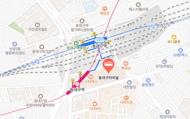 동대구터미널 위치