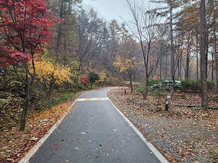 강원도 국립 화천숲속야영장 소개