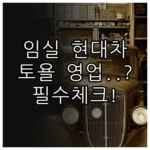 임실군 현대차 정비 네트워크 위치와 ..