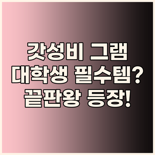 가성비 노트북 끝판왕 LG 그램! 대..