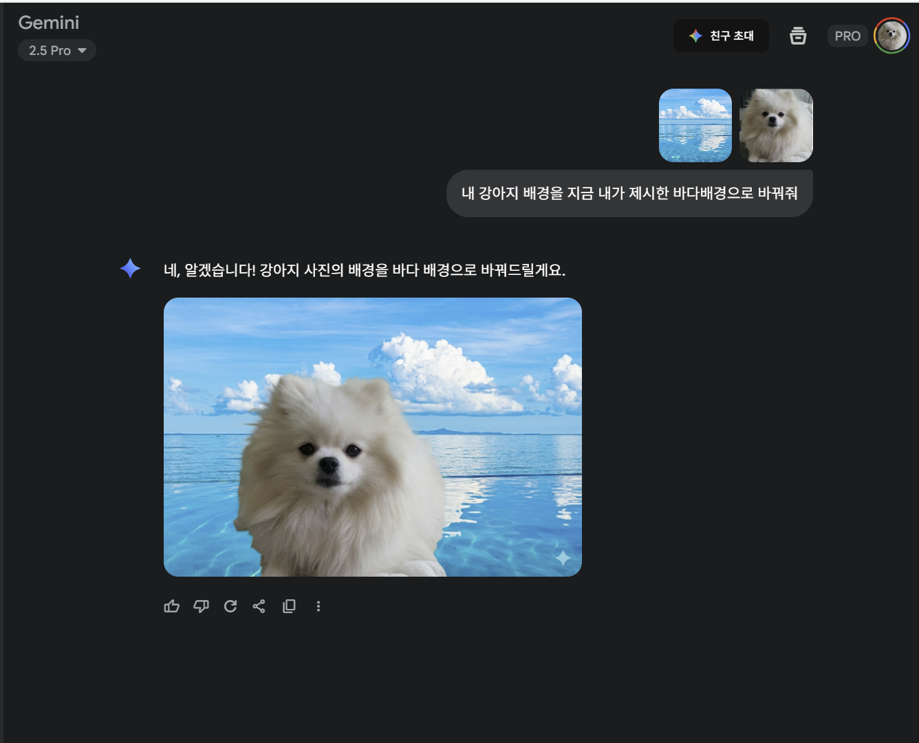 바다 배경으로 편집된 흰색 포메라니안 내 사랑하는 강아지 사진