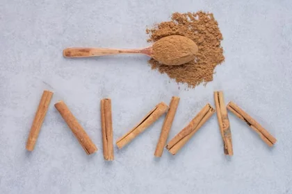 계피의 기본적인 특징과 활용 개요11