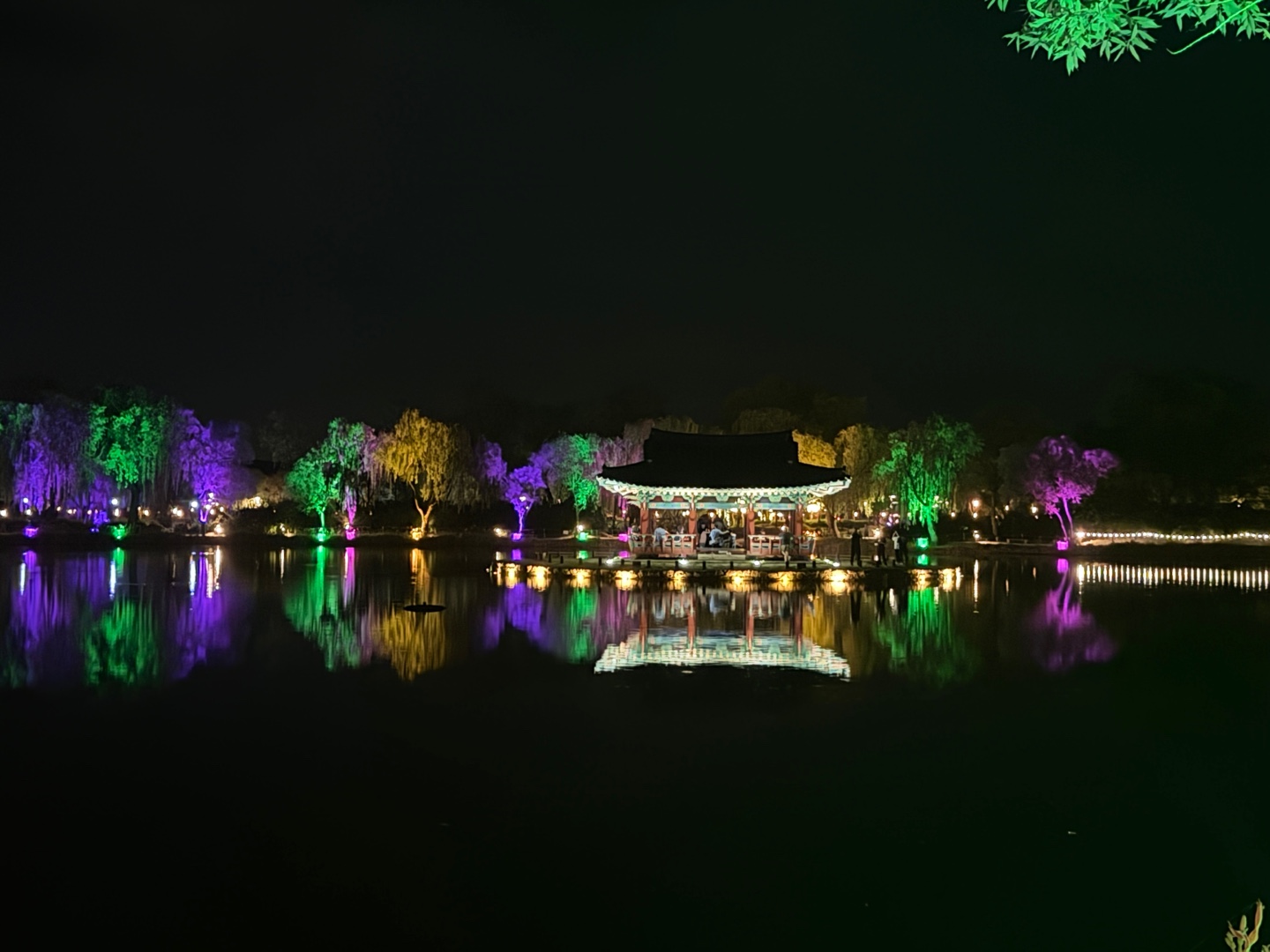 궁남지 연꽃 야경