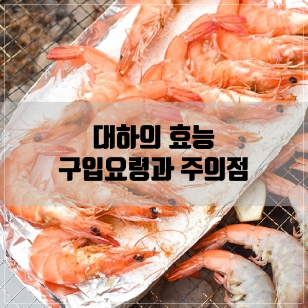 대하의 효능과 구입요령 그리고 주의점에 대해 알아본다.