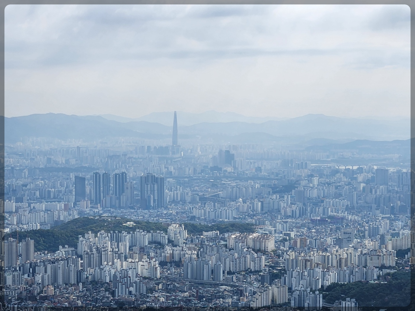 부동산 시장, 금리인하. 전세가격, 투자심리