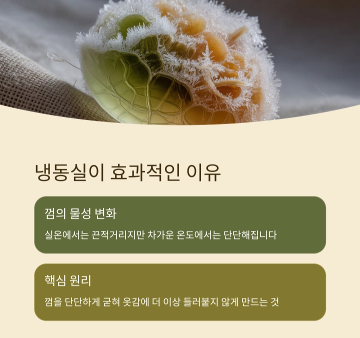 냉동실 하나로 옷에 붙은 껌 제거하는 법