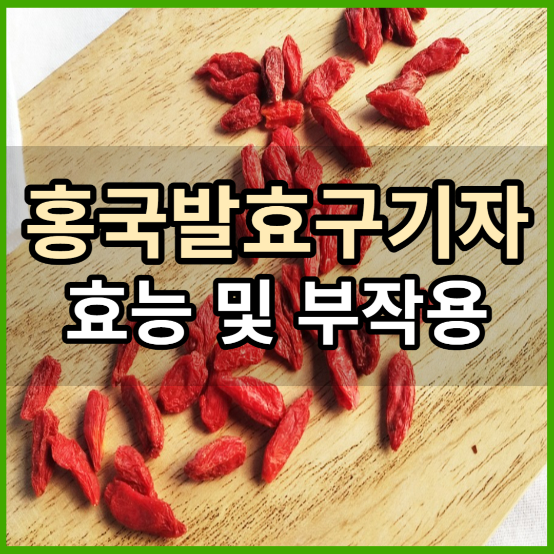홍국구기자의 효능과 부작용 및 섭취시 주의사항