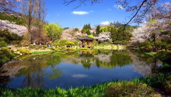 경주이미지